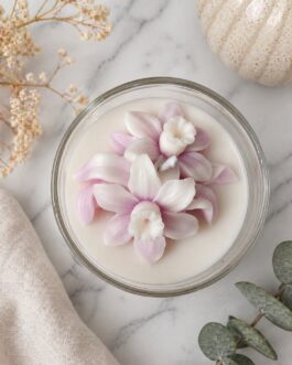 Blush Orchid Bloom