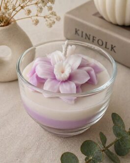 Blush Orchid Bloom