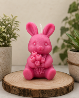Little Bunny Love