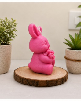 Little Bunny Love